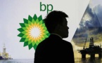 Le Président de la République reçoit une délégation de la société britannique British Petroleum