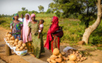 Le monde rural en grand danger…