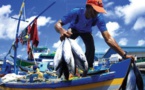 Sur nos marchés, poissons d’élevage, de Mauritanie et de Libye !