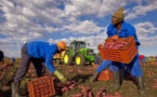 La ministre de l'agriculture inaugure des fermes agricoles dans la wilaya du Trarza