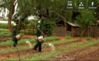 Le Président de la République inaugure l’extension de la ferme agricole de Boghé