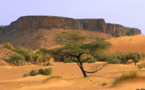 La caravane du réseau des femmes parlementaires visite l’Inchiri et l’Adrar