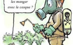 Rosso: Les agriculteurs alertent sur le retard des pesticides