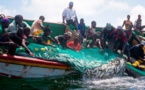 Accords de pêche Mauritanie-Sénégal : Poissons contre Opposants