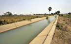 Boghé: Ouverture d'un atelier de lancement officiel du projet régional d'appui à l'initiative d'irrigation au Sahel