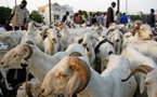 Fête d’El Id El Kebir Le mouton hors de portée