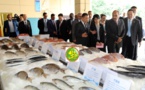 Le Président de la République visite le siège de la société chinoise Poly Hondone-Pelagic Fishing