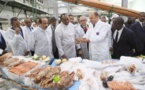 Le Président de la République et son hôte swatini visitent la Société mauritanienne des produits halieutiques