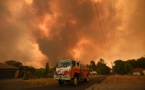 Australie en feu: Sydney étouffe, l'équivalent de la Belgique parti en fumée