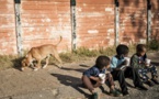 Pandémie: jusqu'à 86 millions d'enfants supplémentaires menacés par la pauvreté