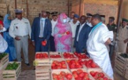 Nouakchott : La ministre du commerce visite le marché des légumes