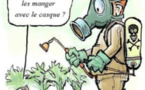 Rosso : Réception de 7800 tonnes de pesticides importés par le CSA