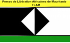 Mauritanie: La solution ultime est en marche Par Flam