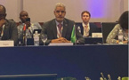 La Mauritanie préside la mission de l’UA à la réunion consacrée à l’adoption des déclarations publiées par le G20